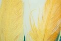 Tablou decorativ Feathers, Mauro Ferretti, 120x80 cm, sticla, multicolor