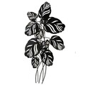 Decoratiune de perete, Leaves, Creaciones Meng, 49.5x90.8 cm, metal galvanizat