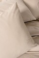 Lenjerie de pat pentru o persoana, Plain - Beige, Cotton Box, Bumbac Ranforce
