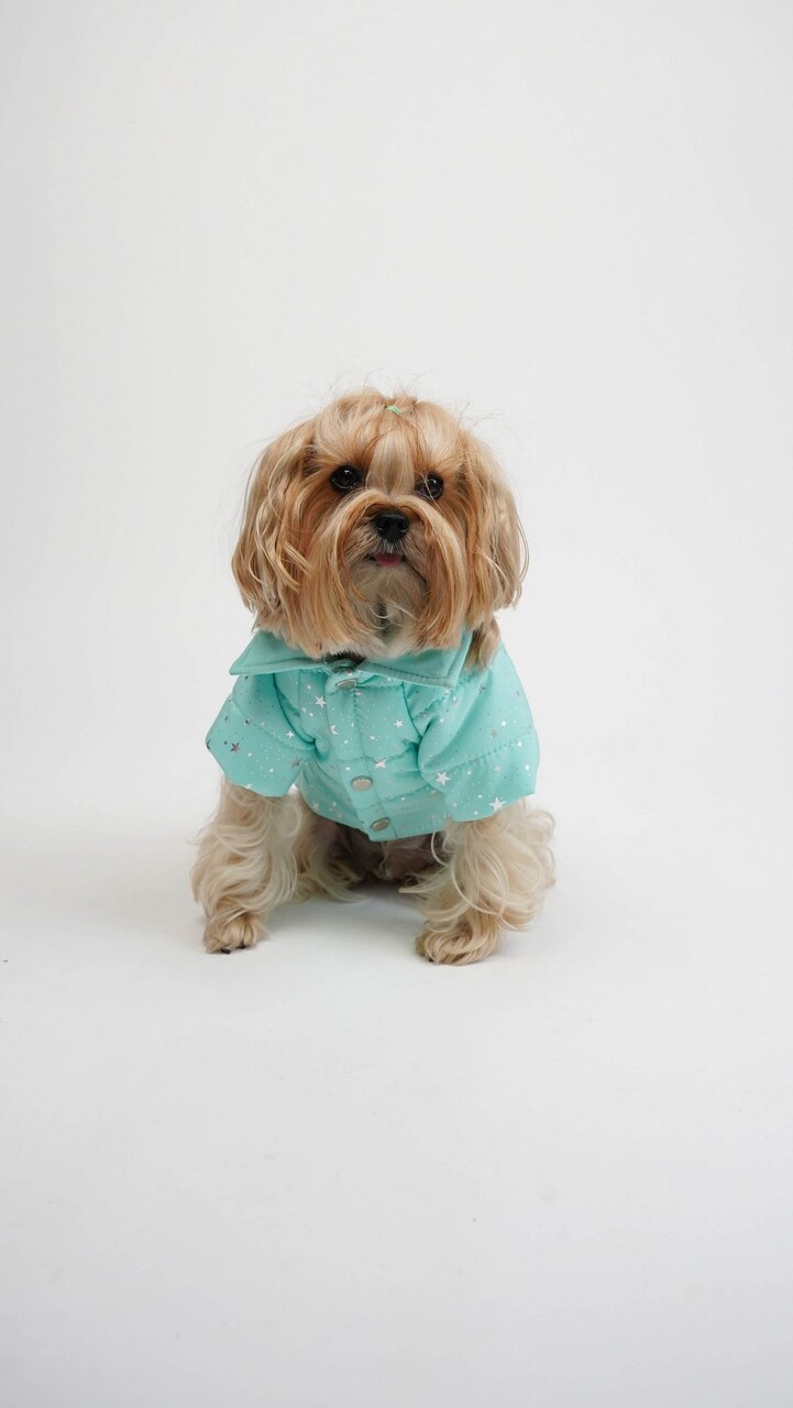 Hanorac pentru câini, Paws &amp; Whiskers, Angel Glow Coat, Albastru - view 3