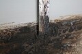 Tablou decorativ Tree Alluminium -A, Mauro Ferretti, 120x80 cm, canvas pictat manual, multicolor