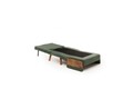 Canapea extensibilă cu 1 loc, Futon, 859FTN2339, Metal , Verde