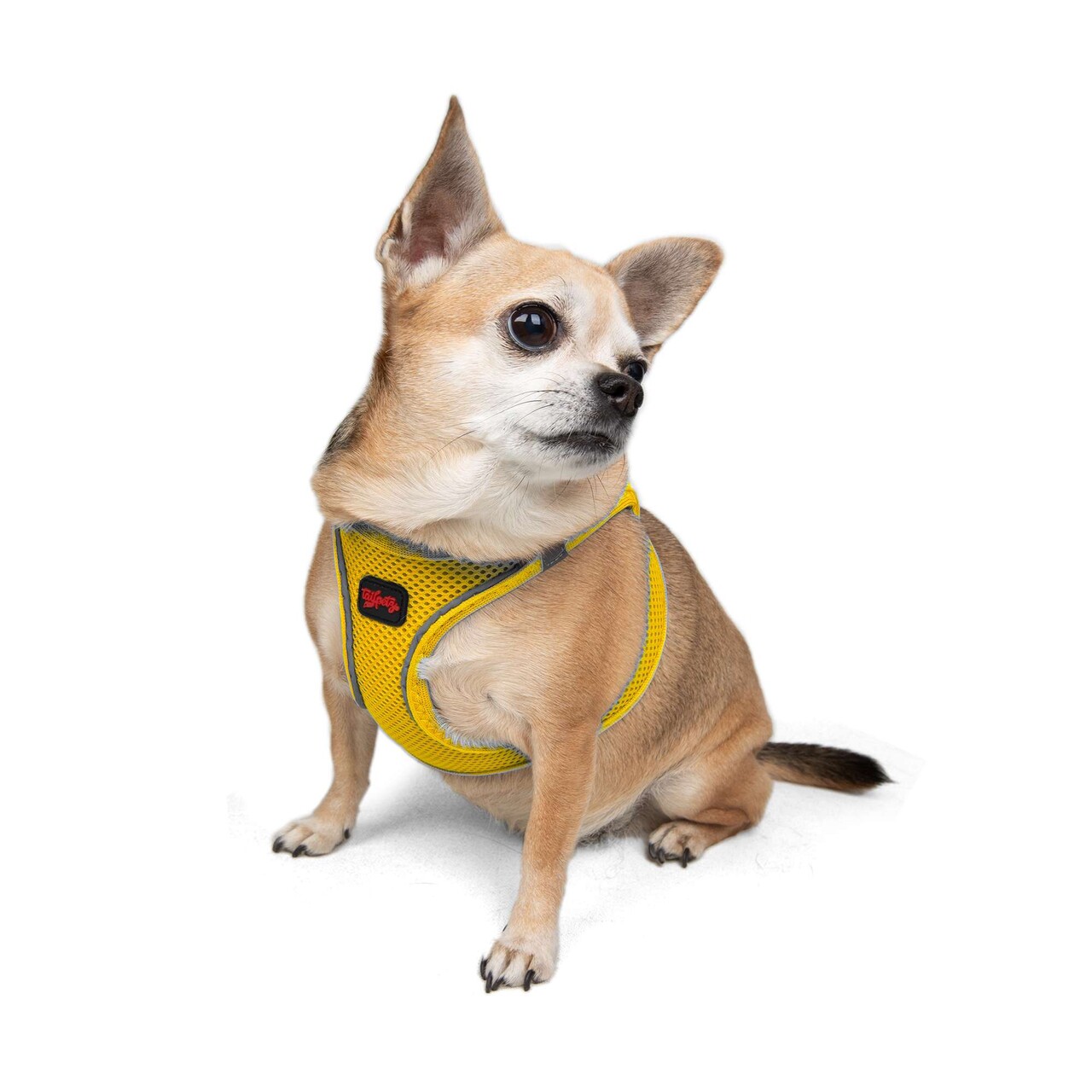 Ham pentru câini, Paws &amp; Whiskers, Air-Mesh, Galben - imagine 2