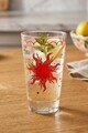 Set pahare, Hermia, 127RKL1629, Transparent
