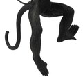 Aplica de perete Monkey, Mauro Ferretti, 1 x E27, 20W, 32x32x64 cm, polirasina, negru