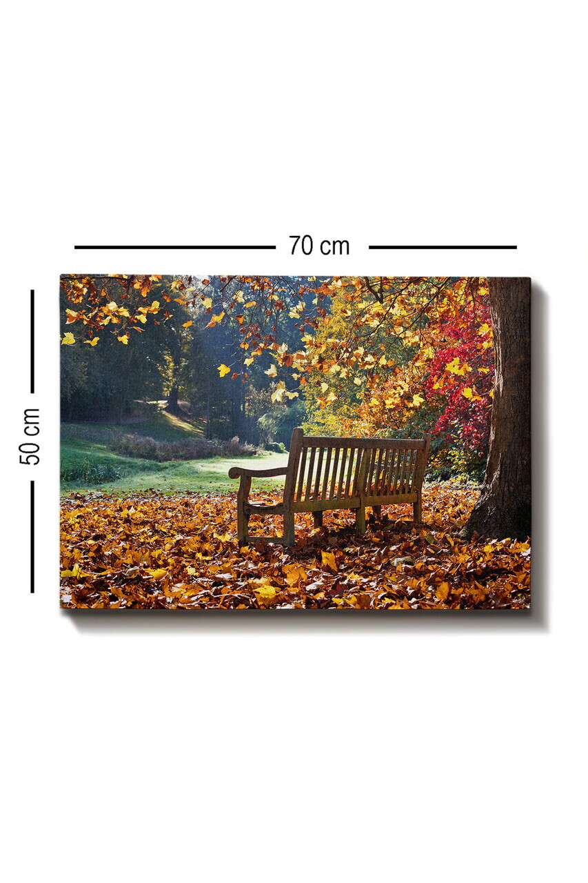 Tablou decorativ, Kanvas Tablo (50 x 70), Canvas, Rama din lemn (grosime 3 cm), Multicolor — imaginea 3