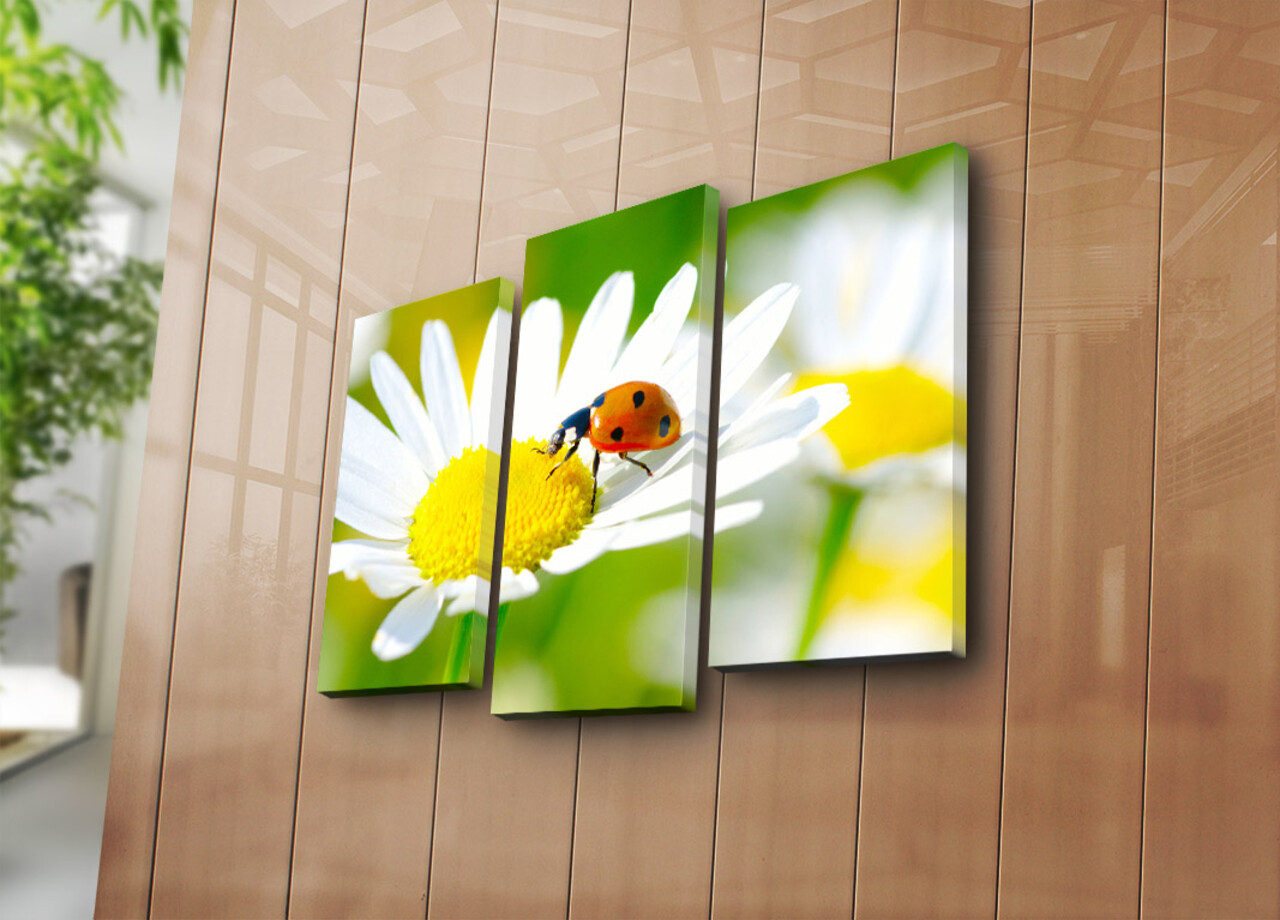 Set 3 tablouri decorative 3PATK-77 20 x 39 cm 2 piese Multicolor