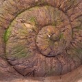 Ghiveci, Snail, Creaciones Meng, 42.5x23.5x22.5 cm, polirasina