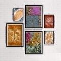 Set 6 tablouri decorative, SET_004, Lulu, 24x29 cm/34x44 cm, plastic