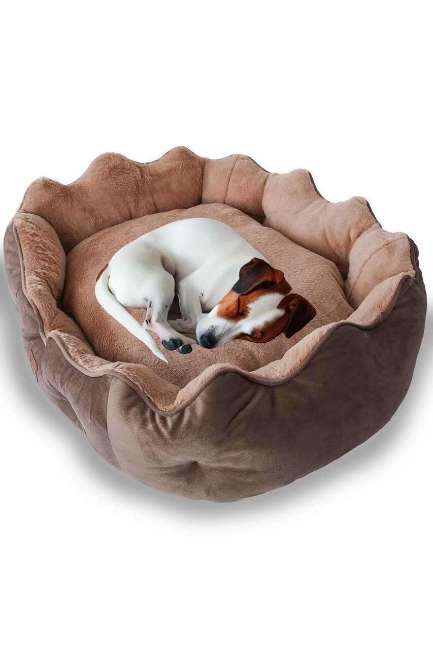 Pat pentru animale de companie, Paws &amp; Whiskers, Elsa Dog L, Material exterior: 100% poliester, Maro - view 2