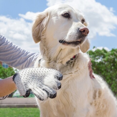 Manusa pentru ingrijirea animalelor de companie innovagoods brush   massage, silicon