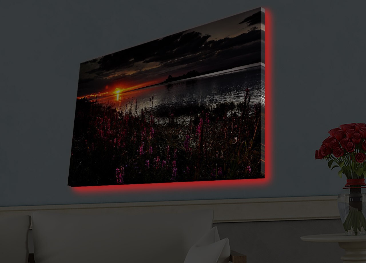 Tablou decorativ cu lumina LED 4570HDACT-002 Dimensiune: 45 x 70 cm Multicolor