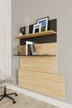 Birou, Elegance, Pooh, Stejar safir / negru