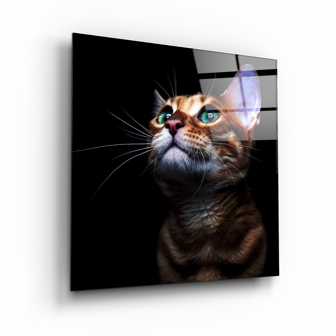 Tablou decorativ, Kgls_2016, Dimensiune: 60 x 60, Multicolor - view 6