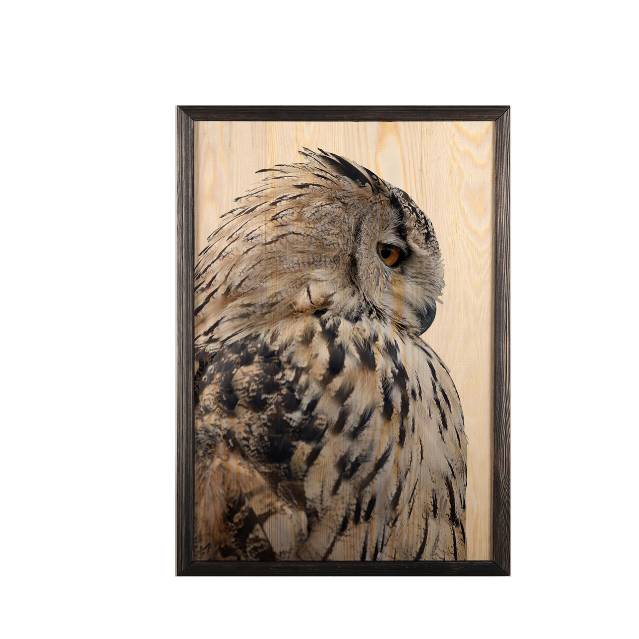 Tablou decorativ, Owl, Lemn, Lemn, Multicolor - 1 | YEO