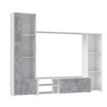 Set mobilier living 4 piese Raalte, Bedora, 220.4x41.3x177.5 cm, PAL/sticla/plastic, alb/gri deschis