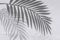 Lenjerie de pat pentru o persoana, Eponj Home, Palma 143EPJ09408, 2 piese, amestec bumbac, alb/gri