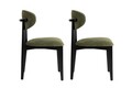 Set scaune 2 piese, Wayland, Lionte, Verde/Negru