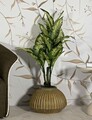 Vaza decorativa Breeze, Mauro Ferretti, 40x26.5 cm, oxid de magneziu, verde inchis