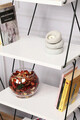 Corp biblioteca, Kalune Design, Balaban, 48x165x31 cm, Alb