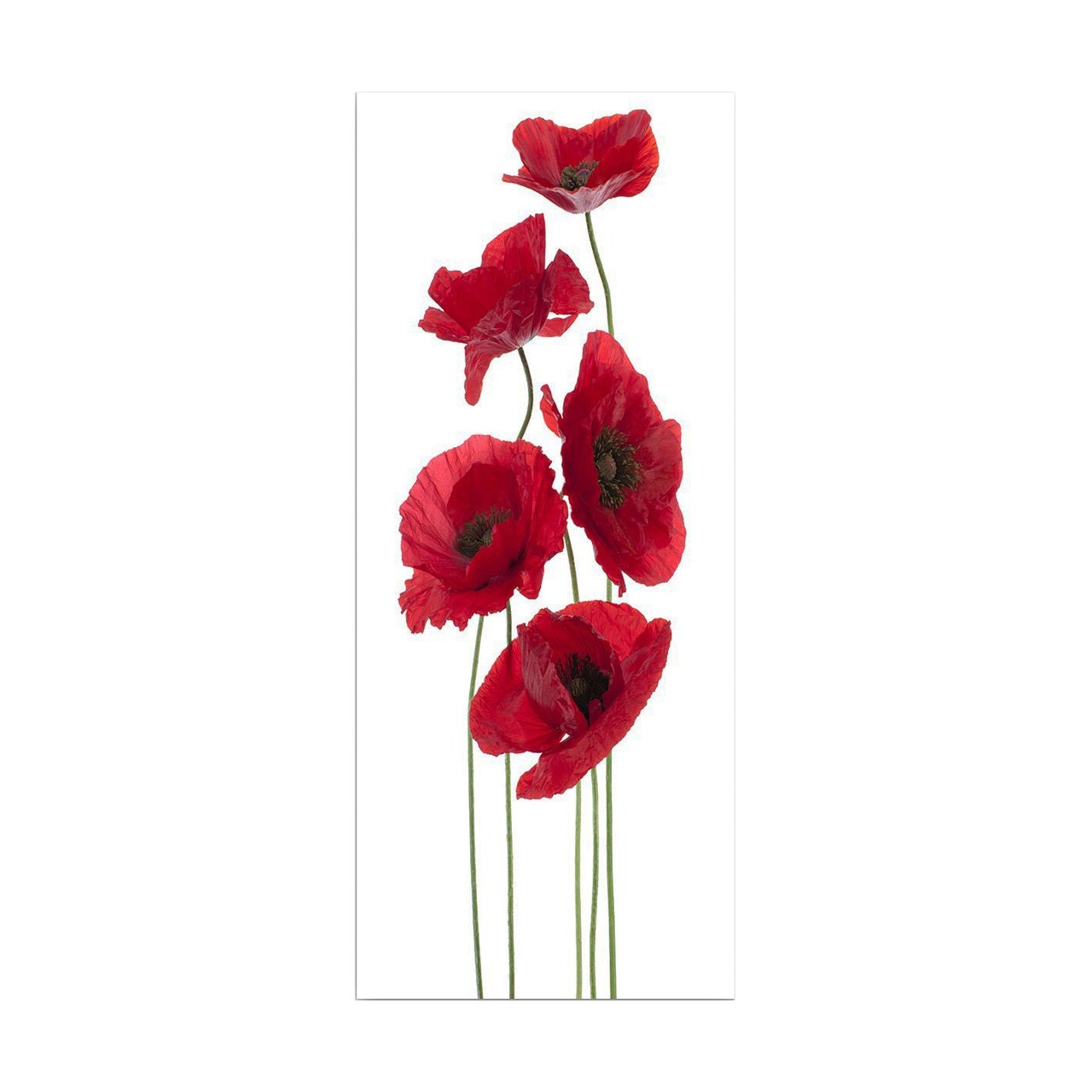 Tablou decorativ, DKY128322_50120, Cadru: 100% LEMN (grosime: 3 cm), Multicolor - view 3