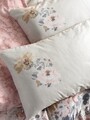 Lenjerie de pat dubla, Dalya - Powder, Cotton Box, Bumbac Satinat