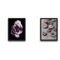 Set 2 tablouri decorative, Macrose Set, PAL, Hartie, Multicolor