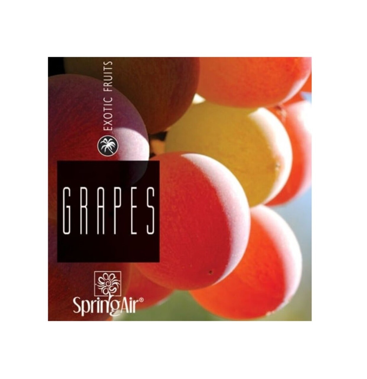 Odorizant spray pentru ambient si tesaturi, Grapes, 500 ml, Spring Air