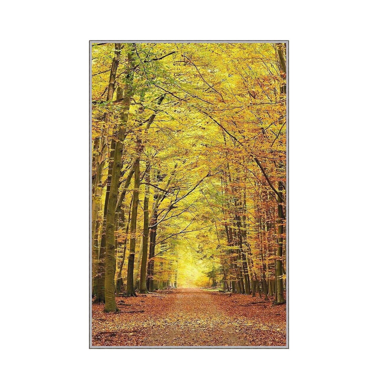 Covor, Eexfab859, 120x180 cm, Multicolor - Imagine 5