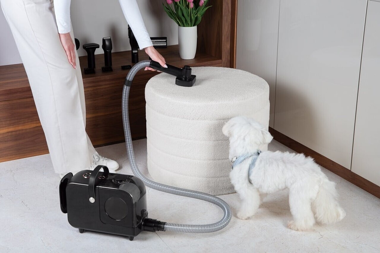 Aspirator pentru ingrijirea animalelor de companie Berlinger Haus, Black Rose, 350W, 2.2 L, negru - imagine 6