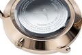 Ceas pentru dama, Emily Westwood, Sunray Toned, inox, auriu/argintiu