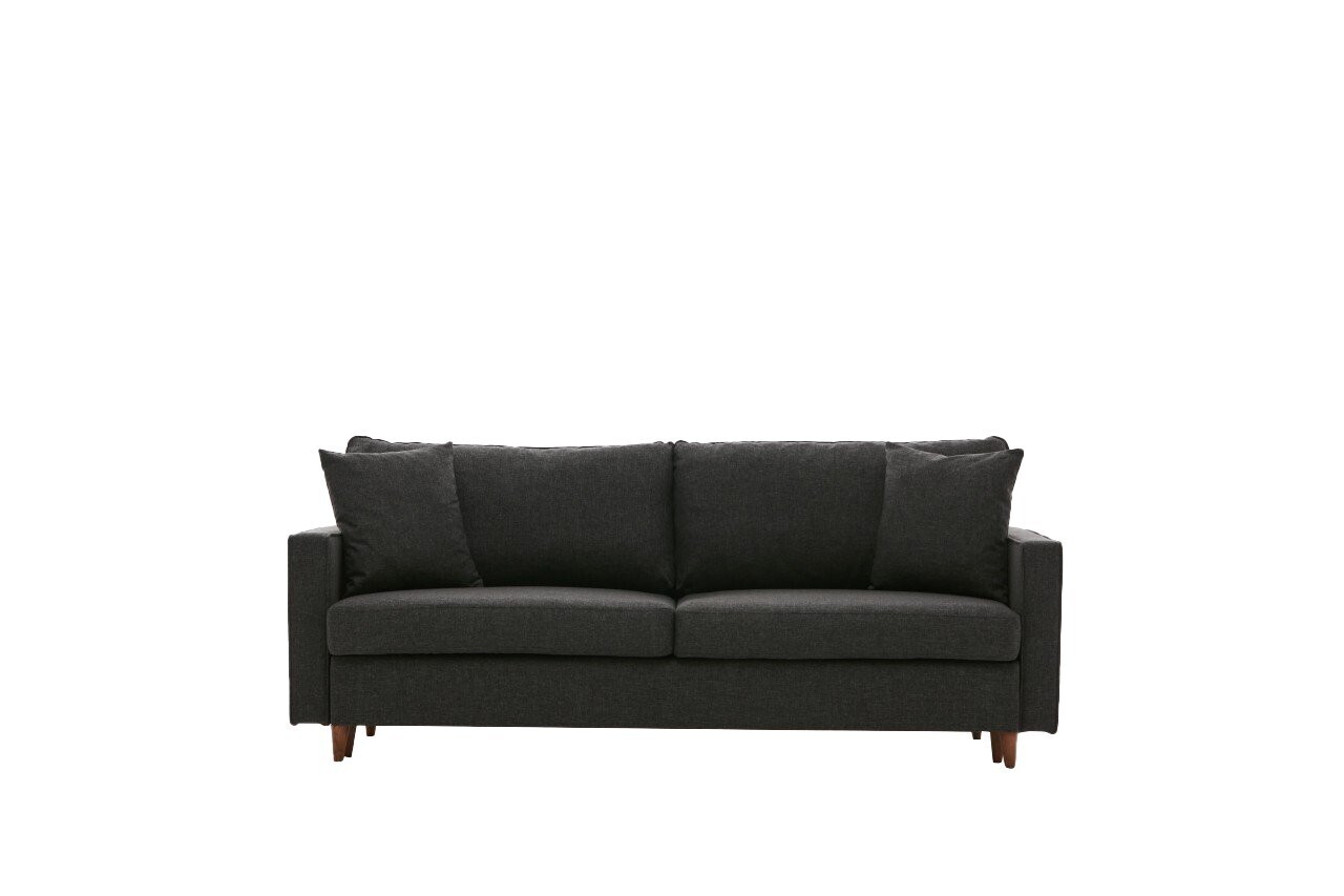 Canapea extensibila 3 locuri, Atelier del Sofa, 613LFS1107, Antracit — imaginea 6