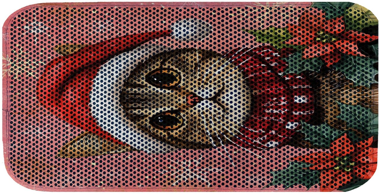 Covoras litiera pentru colectarea granulelor de nisip, Paws &amp; Whiskers, Cat Lıtter Mat 43, Multicolor - view 2