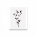 Tablou decorativ, Alpha Wall, Magnolia, 30x40 cm