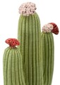 Figurina /sculptura decorativa Cactus, Mauro Ferretti, 16.5x11x45 cm, polirasina, multicolor