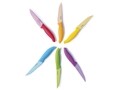 Set 6 cutite pentru friptura, Excelsa, 21 cm, multicolor