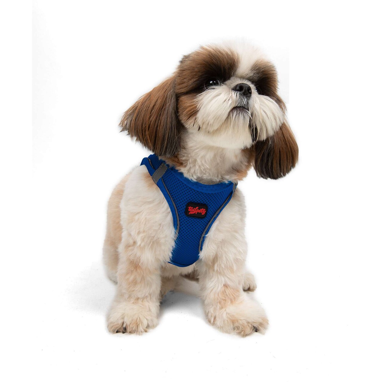 Ham pentru câini, Paws &amp; Whiskers, Air-Mesh, Poliester, Albastru - view 4
