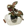 Cos pentru fructe Versa, 23.5 x 18 x 9.5 cm, otel/lemn