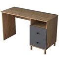 Birou, Rani, HA109, 120x73.8x50 cm, PAL, Nuc / Antracit