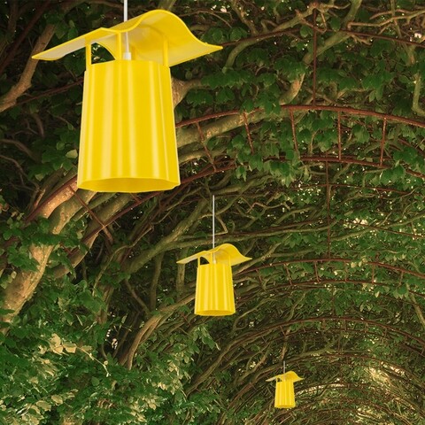 Lustra sari/altin, asz.0830, squid lighting, 22x70x24 cm, 20w, galben
