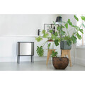 Cos de gunoi cu soft touch, Brabantia, Bo Touch Matt Fingerprint Proof, 3x11 L, 31.2x54x68 cm, otel, argintiu