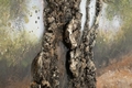 Tablou decorativ Olive Oil Painting -C, Mauro Ferretti, 120x80 cm, canvas/lemn de pin, multicolor