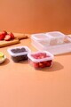 Set recipiente depozitare, Hermia, 430KSV1640, PLASTIC, Dimensiune: 19,5 x 6 cm / 1,6 kg (2 bucăți), Transparent