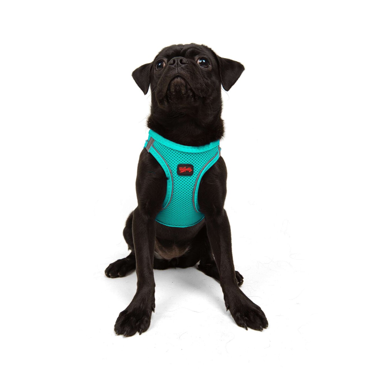 Ham pentru câini, Paws &amp; Whiskers, Air-Mesh, Ocean - view 5