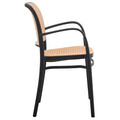 Scaun de gradina Juniper, Pakoworld, 56x52.5x86.5 cm, polipropilena cu protectie UV, negru/bej