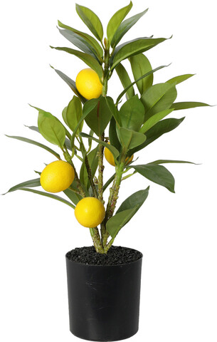 Planta decorativa lemon tree, 10x10x43 cm, polipropilena