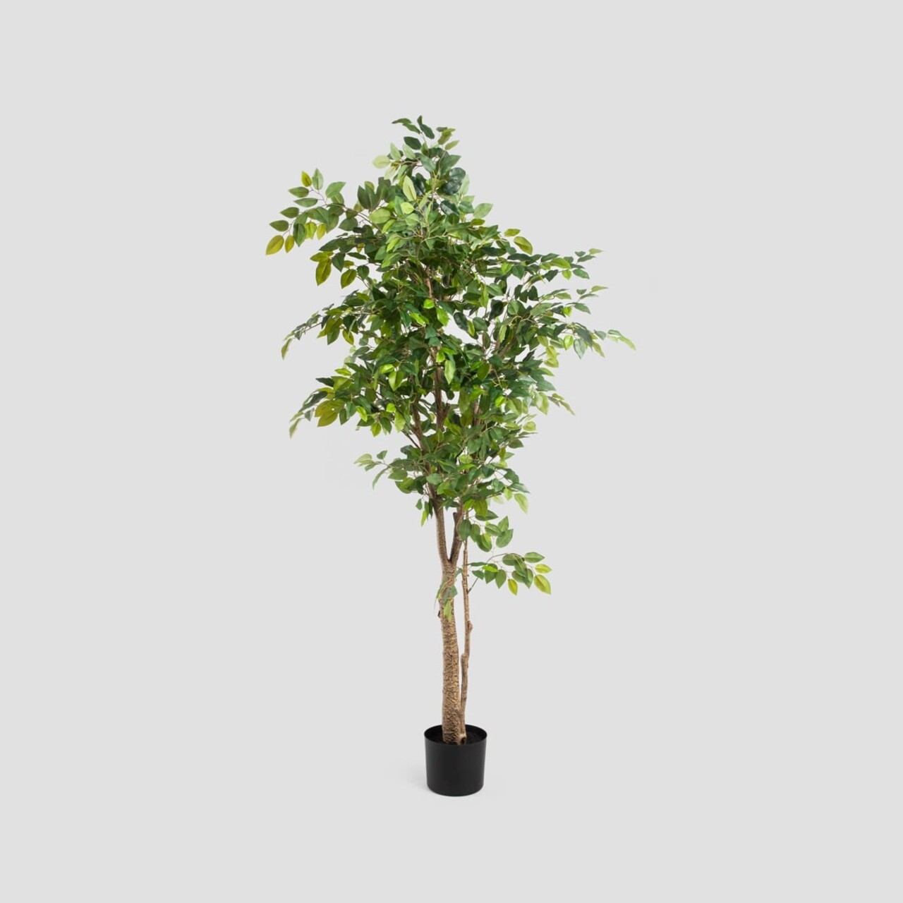 Planta artificiala ficus Topical Zone, Homla, 170 cm, plastic, verde - view 2