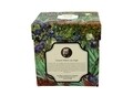 Cana cu infuzor, DUO, Van Gogh Irises , 325 ml, portelan, multicolor