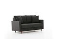 Canapea 2 locuri, Atelier del Sofa, 613LFS1138, Antracit