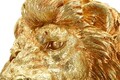 Figurina /sculptura decorativa Lion Shant, Mauro Ferretti, 45x29x55 cm, polirasina, auriu